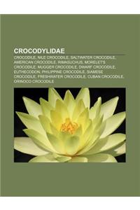 Crocodylidae: Crocodile, Nile Crocodile, Saltwater Crocodile, American Crocodile, Rimasuchus, Morelet's Crocodile, Mugger Crocodile