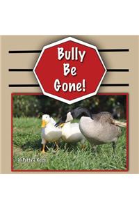 Bully Be Gone!: Duck Ponder Series