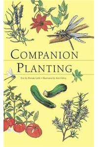 Companion Planting