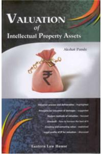 Valuation of Intellectual Property Assets