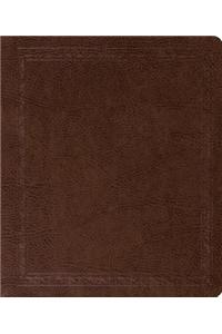 Journaling Bible-ESV