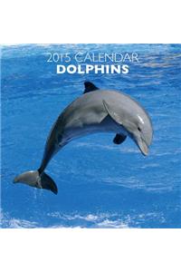 Dolphins 2015 Calendar