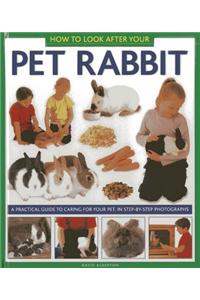 How to Look After Your Pet Rabbit: A Practical Guide to Caring for Your Pet, in Step-By-Step Photographs