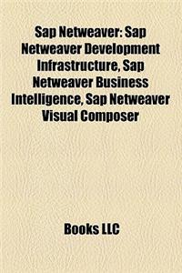 SAP Netweaver: SAP Netweaver Development Infrastructure, SAP Netweaver Business Intelligence, SAP Netweaver Visual Composer