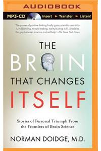 The Brain That Changes Itself