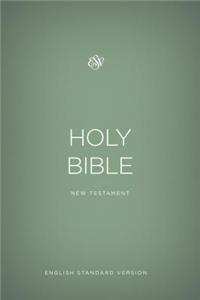 Outreach New Testament-ESV