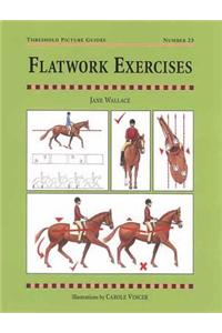 Flatwork Exercises