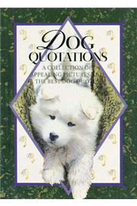 Dog Quotations