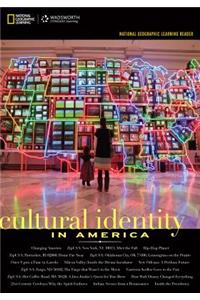 Cultural Identity in America