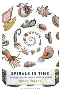 Spirals in Time: The Secret Life and Curious Afterlife of Seashells