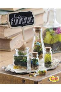 Indoor Gardening: Growing Air Plants, Terrariums, and More