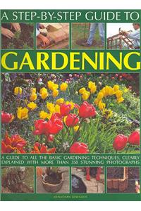 Step-by-step Guide to Gardening