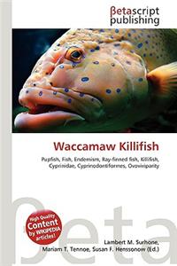 Waccamaw Killifish