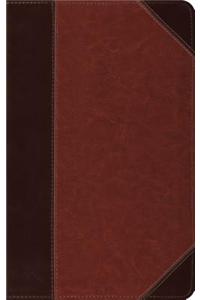 Thinline Bible-ESV-Portfolio Design