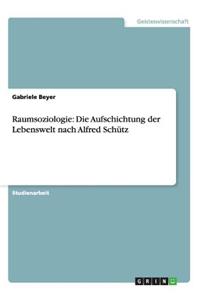 Raumsoziologie: Die Aufschichtung Der Lebenswelt Nach Alfred Schutz