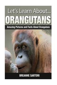 Orangutans: Amazing Pictures and Facts about Orangutans