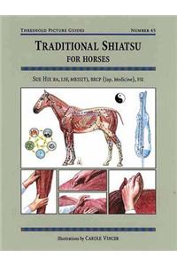Traditional Shiatsu for Horses