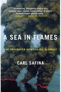 A Sea in Flames: The Deepwater Horizon Oil Blowout