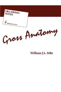 Gross Anatomy