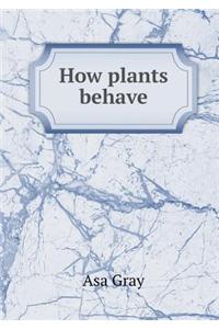 How Plants Behave