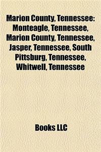 Marion County, Tennessee: Paper Clips Project