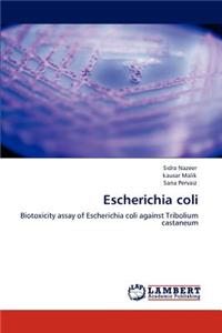Escherichia Coli