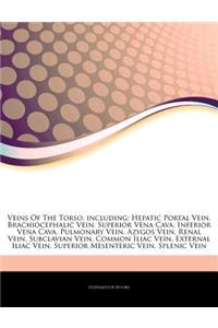 Articles on Veins of the Torso, Including: Hepatic Portal Vein, Brachiocephalic Vein, Superior Vena Cava, Inferior Vena Cava, Pulmonary Vein, Azygos V