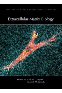Extracellular Matrix Biology