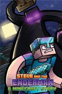 Minecraft: Steve and the Enderman