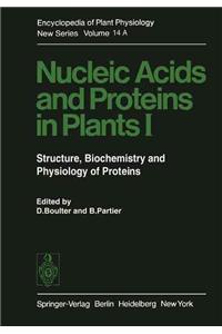 Nucleic Acids and Proteins in Plants