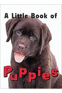 A Little Book of Puppies