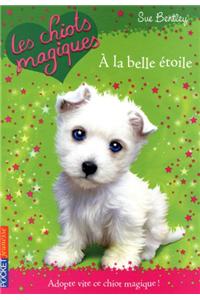 A la Belle Etoile = A Forest Charm