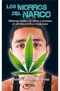 Los Morros del Narco: Historias Reales de Ninos y Jovenes en el Narcotrafico Mexicano = "Narco" Youth
