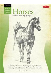 Drawing Horses Learn to Draw Step by Step
