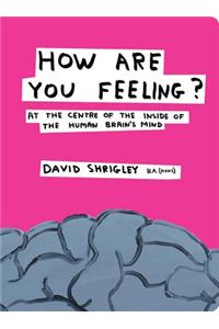 How Are You Feeling?: At the Centre of the Inside of the Human Brain's Mind