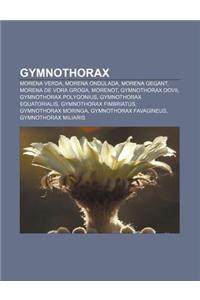 Gymnothorax: Morena Verda, Morena Ondulada, Morena Gegant, Morena de Vora Groga, Morenot, Gymnothorax Dovii, Gymnothorax Polygonius