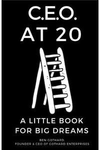 CEO at 20: A Little Book for Big Dreams
