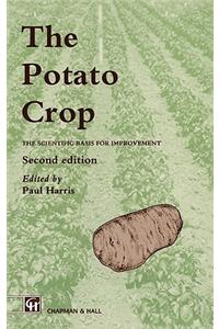 Potato Crop