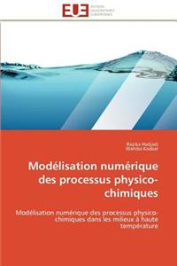 Modelisation Numerique Des Processus Physico-Chimiques = Moda(c)Lisation Numa(c)Rique Des Processus Physico-Chimiques