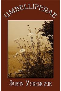 Umbelliferae