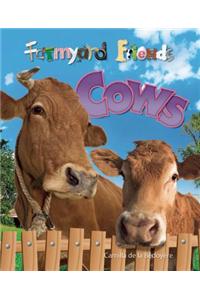 Cows