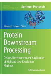 Protein Downstream Processing: Design, Development and Application of High and Low-Resolution Methods