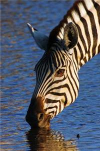 Drinking Zebra Journal: 150 Page Lined Notebook/Diary
