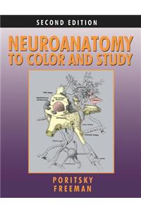Neuroanatomy to Color and Study
