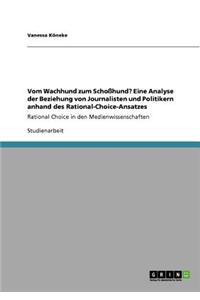 Vom Wachhund Zum Schosshund? Eine Analyse Der Beziehung Von Journalisten Und Politikern Anhand Des Rational-Choice-Ansatzes