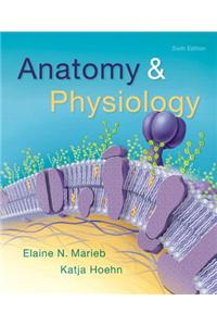 Anatomy & Physiology