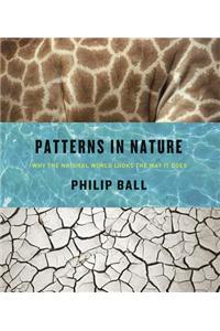 Patterns in Nature: Why the Natural World Looks the Way It Does