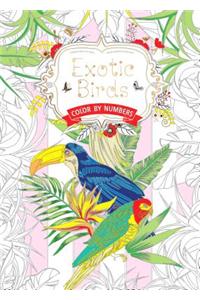 Exotic Birds Us: Color by Numbers