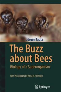 The Buzz about Bees