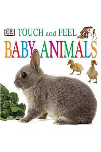 Baby Animals